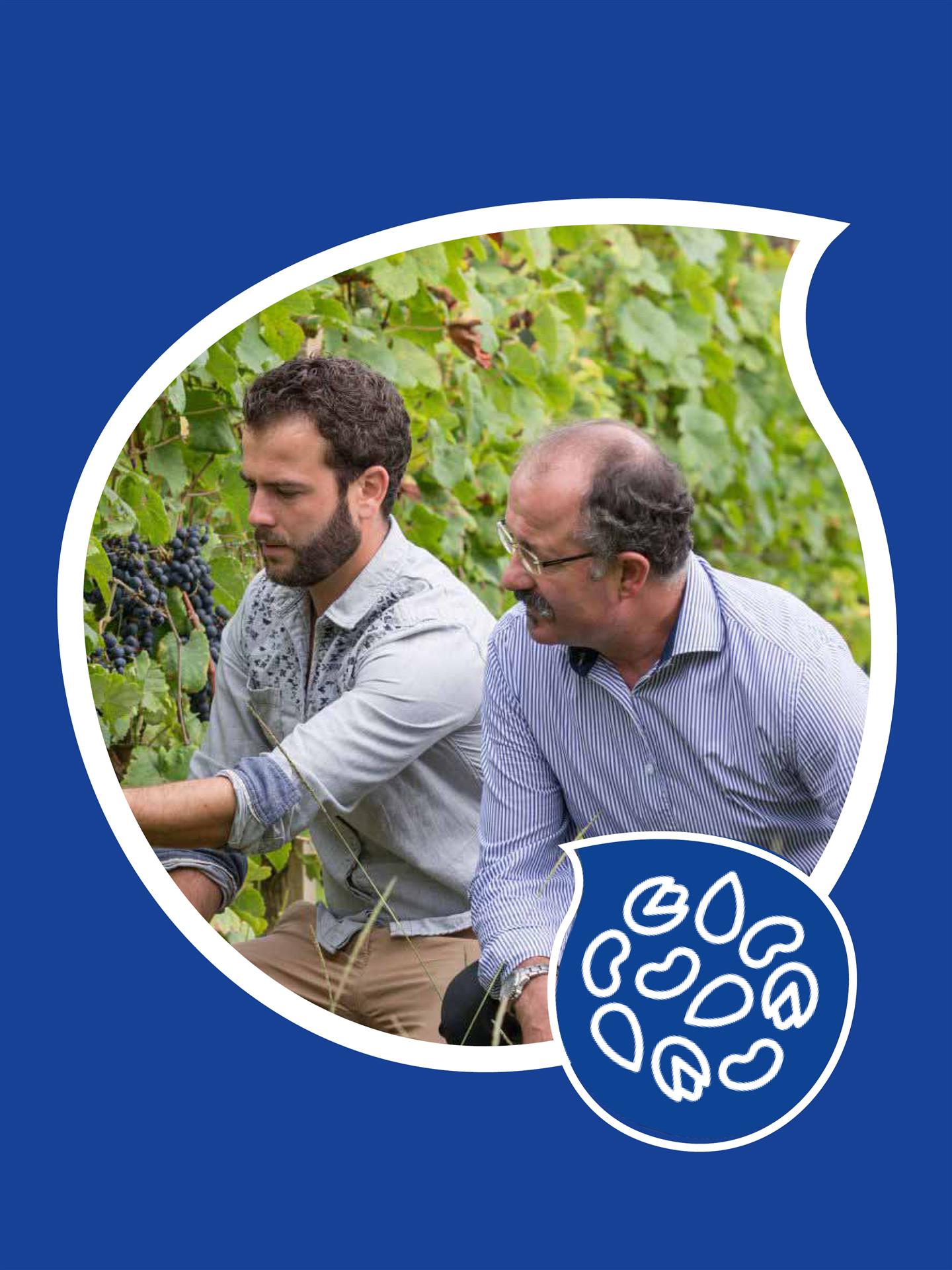 DOMAINE CAPMARTIN DOMAINE CAPMARTIN