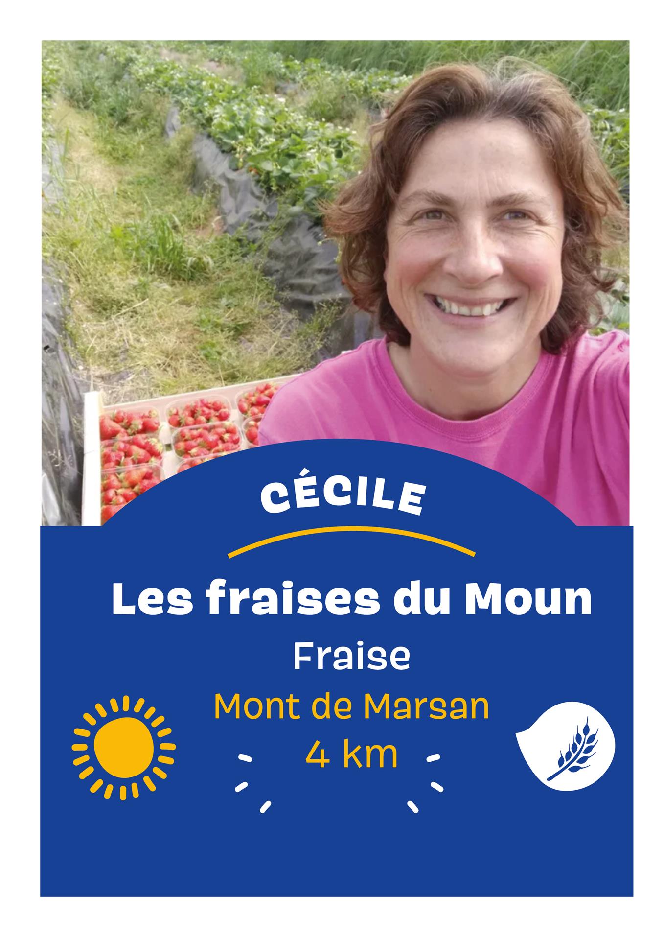 LES FRAISES DU MOUN